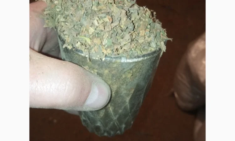 Куплю лист битий хлопями зеленими некондицію від мішка - фото № 1