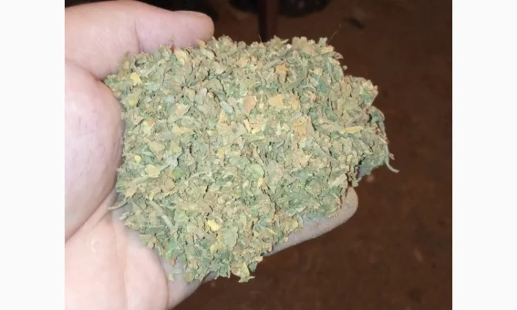 Куплю табак трьохцвєтку хлопями зеленими некондиція лист битий з центральною жилкою - фото № 1