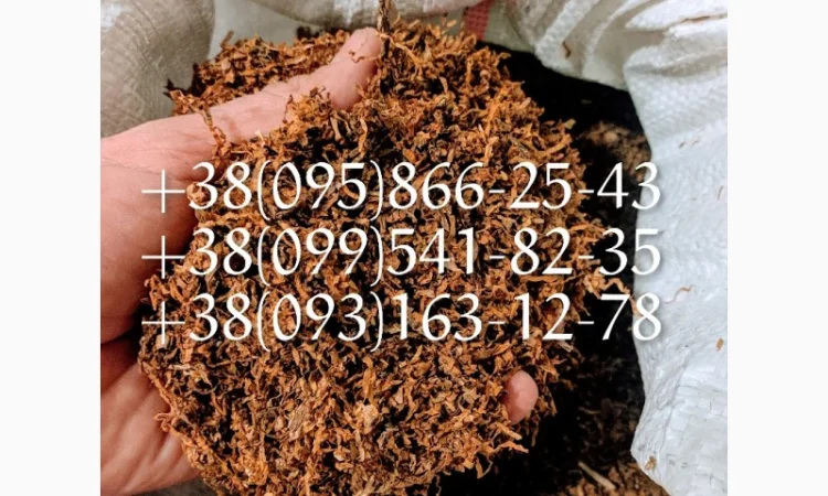 БЕРЛИ Табак! Супер Табак! Кент Табак! Бонд Табак - фото № 3