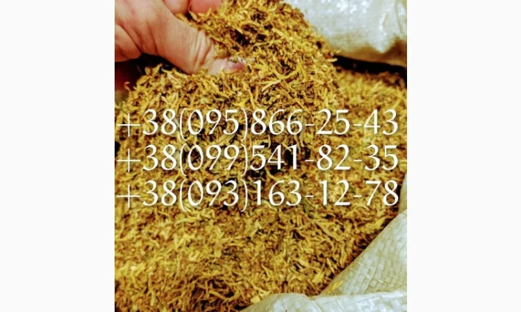 Акция Табак самосад  для  самокруток ! табак Берли Табак махорка! Табак вирджиния оптом - фото № 1