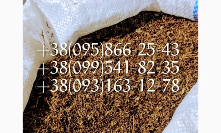 Акция Табак самосад  для  самокруток ! табак Берли Табак махорка! Табак вирджиния оптом - фото № 2