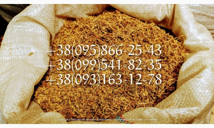 Самосад табак  для  самокруток ! табак берли вирд голд опт сорта табака, табаки болгария - фото № 2