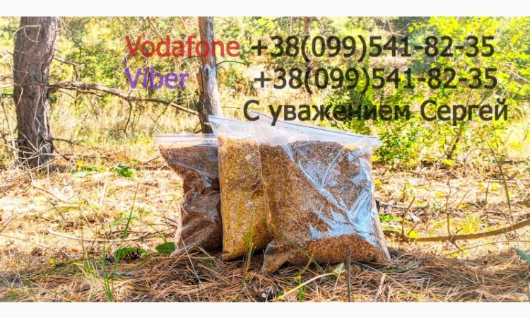 Продам ТАБАК  для  сигарет 1 кг: АКЦІЯ! Вирджиния Голд Фабричный. Вирджиния, Берли, (Бонд, Винстон, Кемел) - фото № 2