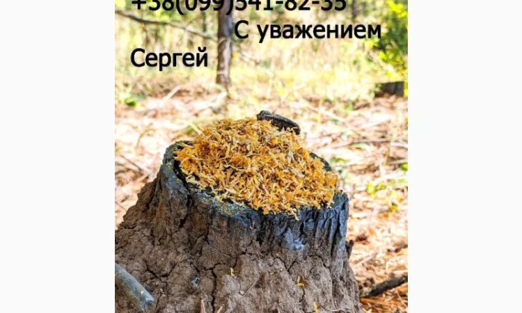 Продам ТАБАК  для  сигарет 1 кг: АКЦІЯ! Вирджиния Голд Фабричный. Вирджиния, Берли, (Бонд, Винстон, Кемел) - фото № 10