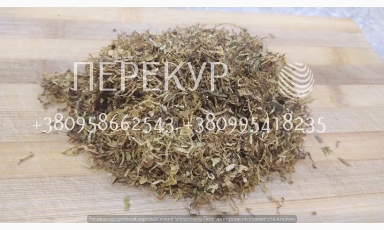 Домашний ТАБАК самосад, махорка - фото № 3