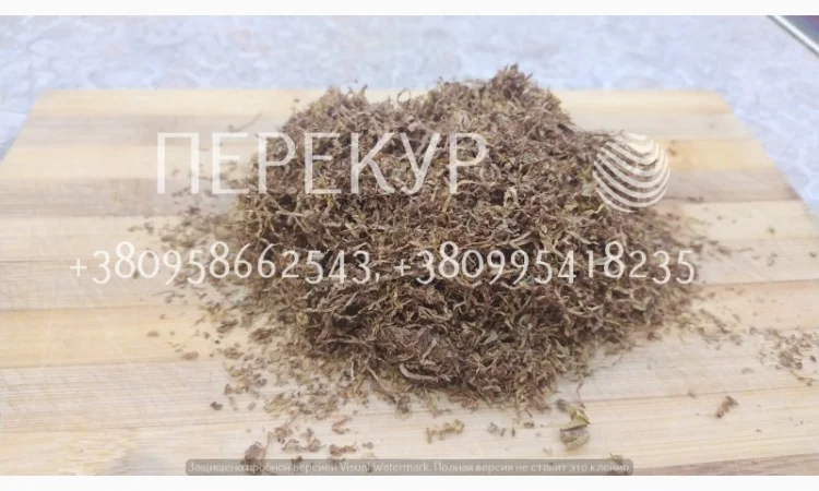 Домашний ТАБАК самосад, махорка - фото № 4