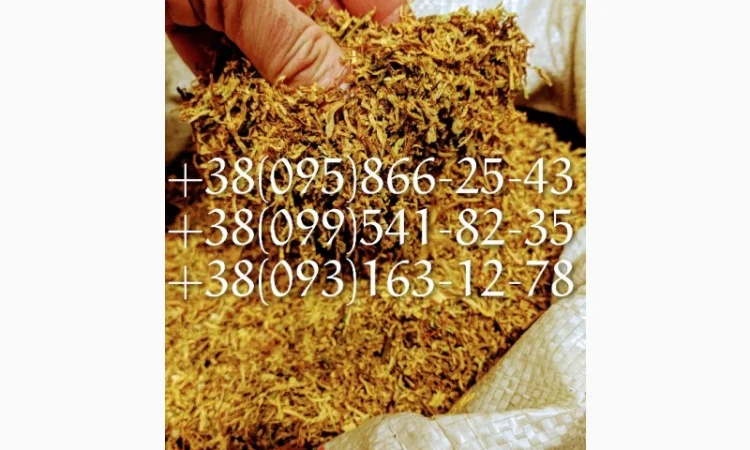 Продам табакv вирджиния оптом табачки берли махорки - фото № 1