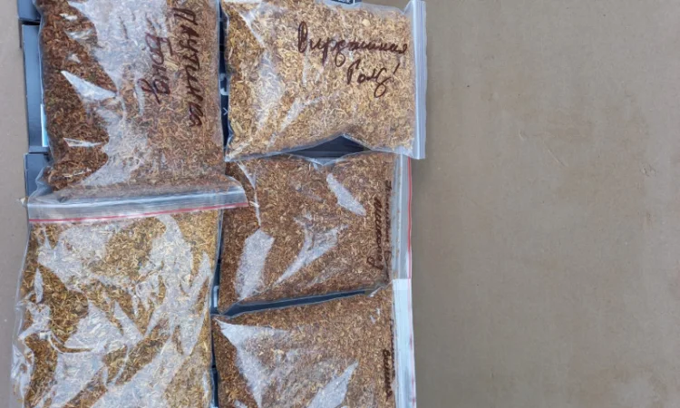 Табак высокого качества по доступным ценам - фото № 4