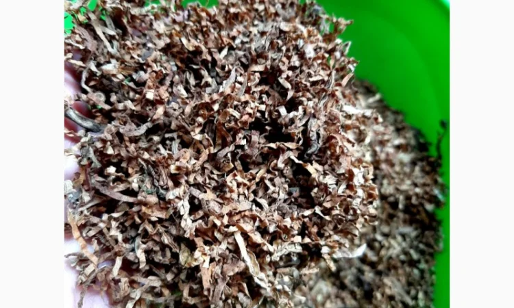 Вирджиния супер качество, крепость разная - фото № 9