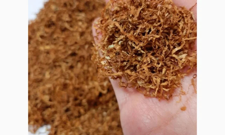 Вирджиния Голд, Вирджиния, Берли.СУПЕР КАЧЕСТВО - фото № 1