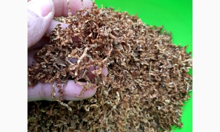 Вирджиния Голд, Вирджиния, Берли.СУПЕР КАЧЕСТВО - фото № 11