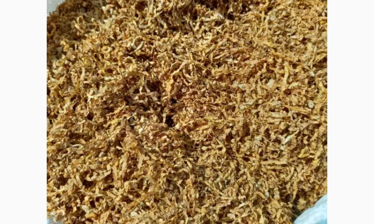 Вирджиния Голд, Вирджиния, Берли.СУПЕР КАЧЕСТВО - фото № 12