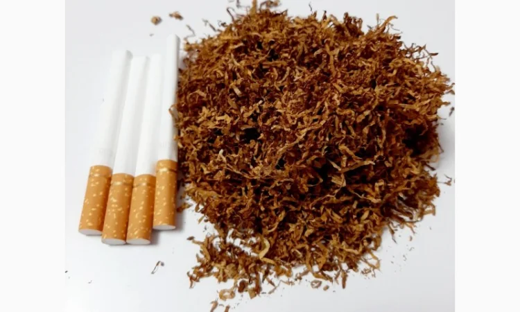 Вирджиния Голд, Вирджиния, Берли.СУПЕР КАЧЕСТВО - фото № 3