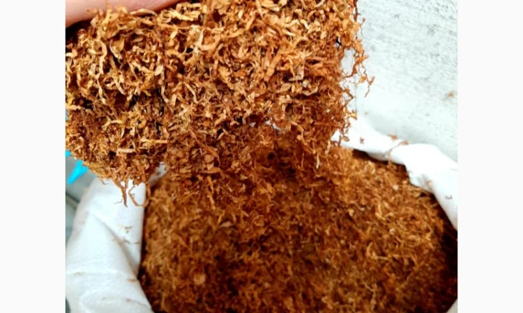 Вирджиния Голд, Вирджиния, Берли.СУПЕР КАЧЕСТВО - фото № 5