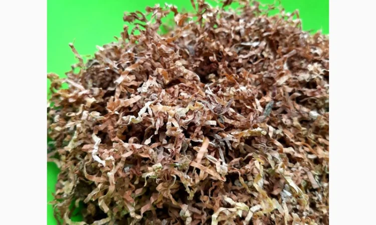 Вирджиния Голд, Вирджиния, Берли.СУПЕР КАЧЕСТВО - фото № 8