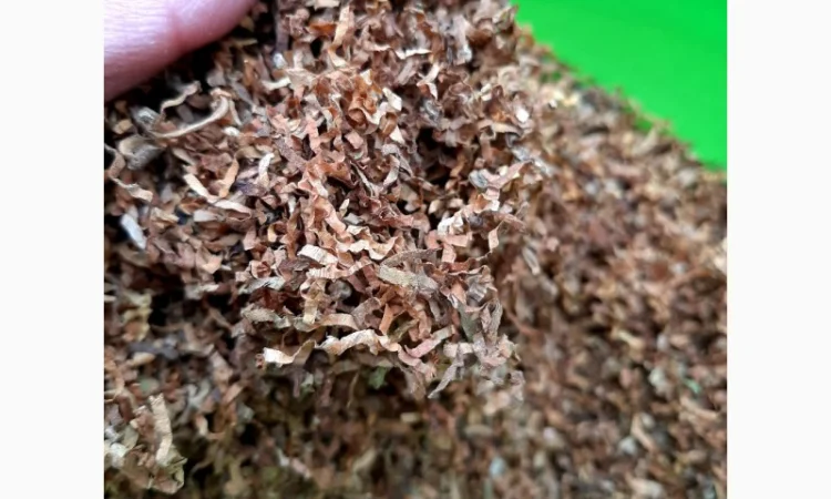 Вирджиния Голд, Вирджиния, Берли.СУПЕР КАЧЕСТВО - фото № 9