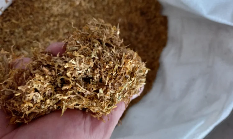 Отличный ЗАВОДСКОЙ табак capitan black - фото № 8