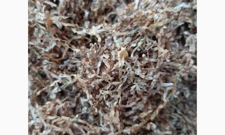 ФАБРИЧНЫЕ ТАБАКИ. Winston / Marlboro Camel / Virginia Gold - фото № 2