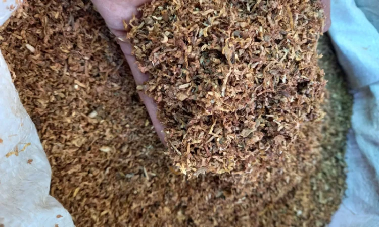 Продам табак Европейского качества!!!! Разных сортов для гильз и самокруток!!!низкая цена - фото № 10