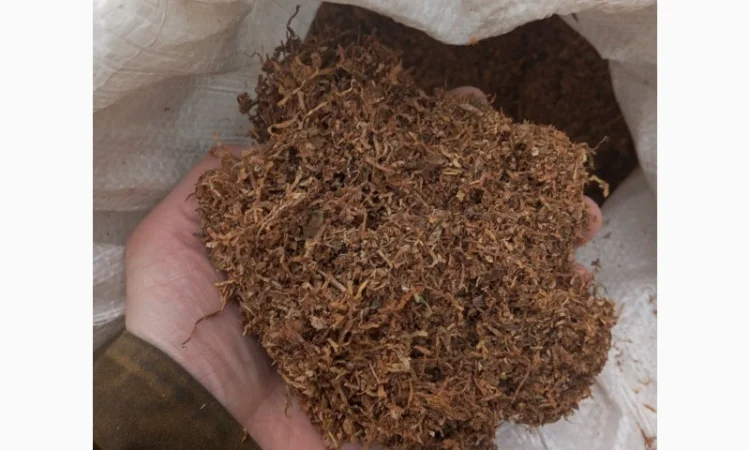 Куплю табак різаний лапшою, а також Махорку - фото № 1