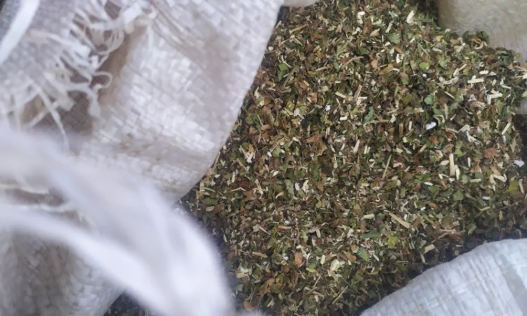 Куплю табак різаний а також Махорку від мішка - фото № 1