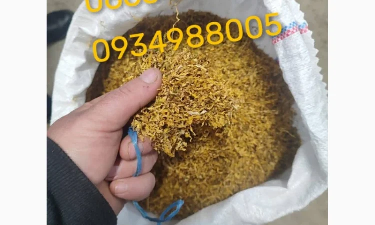 Якісний Парламент Голд Берлі Вірджинія Руно Вінстон Кемел Мальбро Гавана Є ОПТ - фото № 1