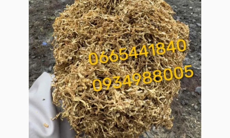 Якісний Парламент Голд Берлі Вірджинія Руно Вінстон Кемел Мальбро Гавана Є ОПТ - фото № 9