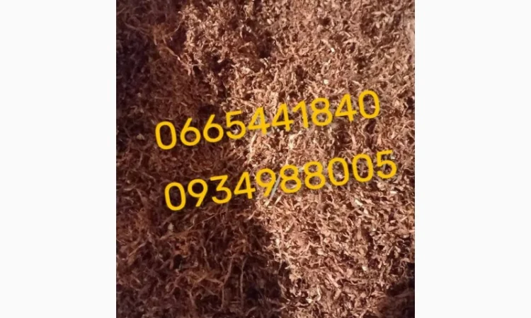 Якісний Парламент Голд Берлі Вірджинія Руно Вінстон Кемел Мальбро Гавана Є ОПТ - фото № 10