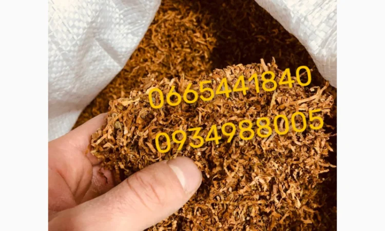 Качественный Парламент Голд Берли Вирджиния Руно Винстон Кемел Мальбро Гавана Есть ОПТ - фото № 12