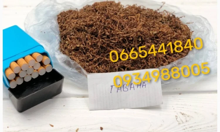 Якісний Парламент Голд Берлі Вірджинія Руно Вінстон Кемел Мальбро Гавана Є ОПТ - фото № 13