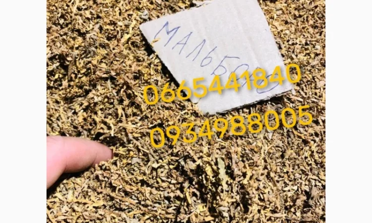 Якісний Парламент Голд Берлі Вірджинія Руно Вінстон Кемел Мальбро Гавана Є ОПТ - фото № 3