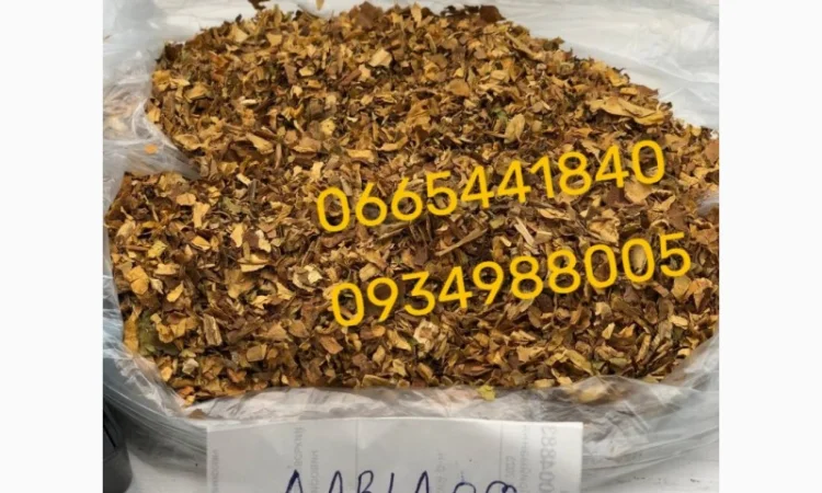 Якісний Парламент Голд Берлі Вірджинія Руно Вінстон Кемел Мальбро Гавана Є ОПТ - фото № 6