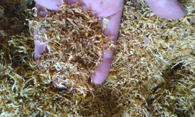 Продаю табак Вирджиния Голд - фото № 2