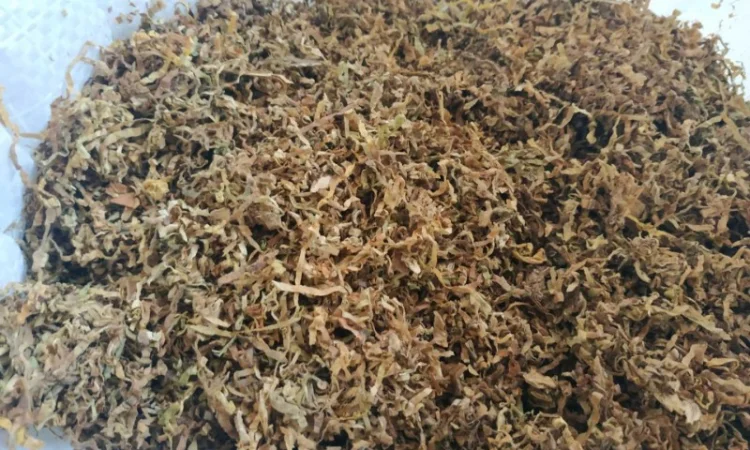 Качественный табак, вирджиния, берлей по доступным ценам - фото № 10