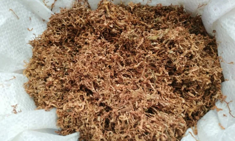 Качественный табак, вирджиния, берлей по доступным ценам - фото № 8