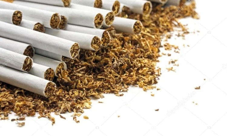 Продам Вирджиния Голд Винстон Кемел Мальборо Кентуки Ротманц табак опт розница - фото № 2