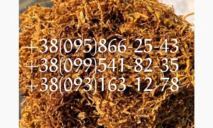 Табак берли! табак золотое руно! табак вирджиния голд! табак кентуки - фото № 1