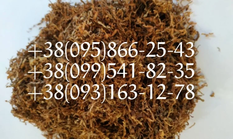 ТАБАК легкой крепости, фабрика - фото № 2