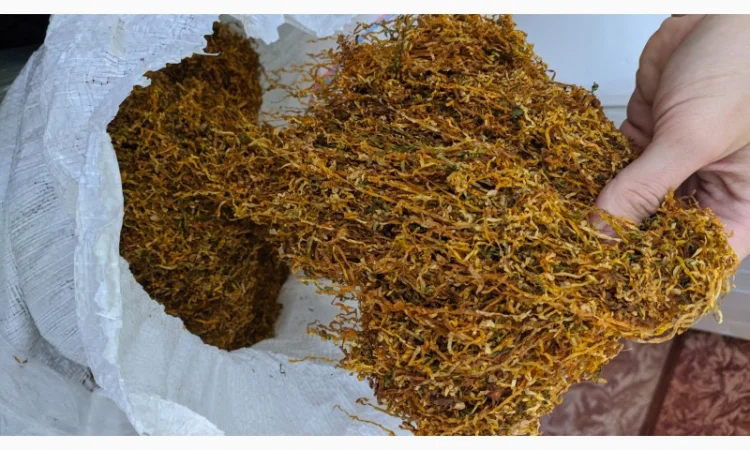 Вірджінія Голд. Берлі. Мальборо. Кемел Вінстон - фото № 1