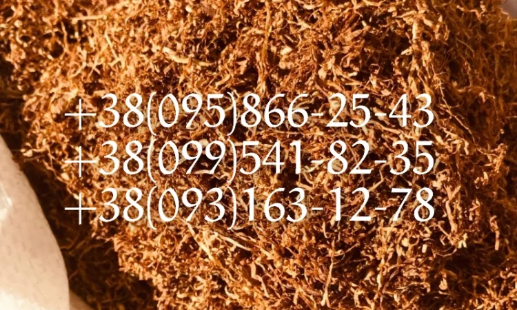 Табак лапша паутинка  для  самокруток ! Табак Вирджиния табак Берли! Табак самосад табак - фото № 1