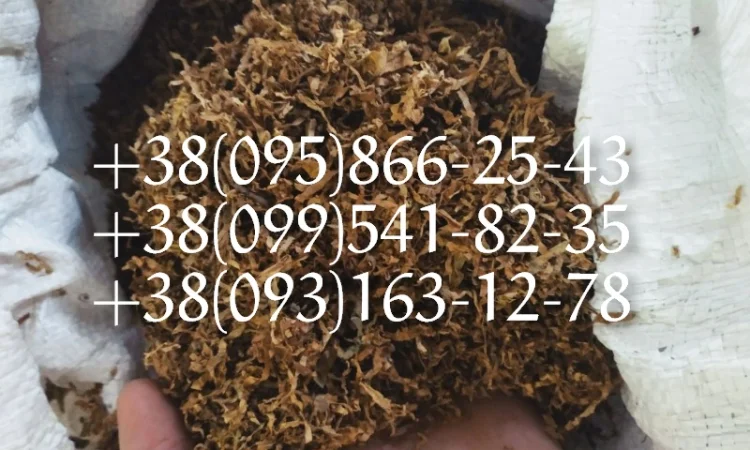 Табак лапша милениум  для  самокруток! Табак Берли ! Табак Вирджиния паутинка табак - фото № 1