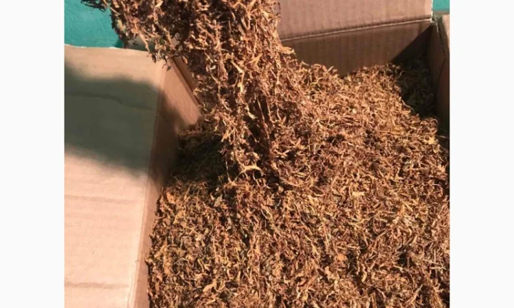 ТЮТЮН !!! Продається тютюн - фото № 3