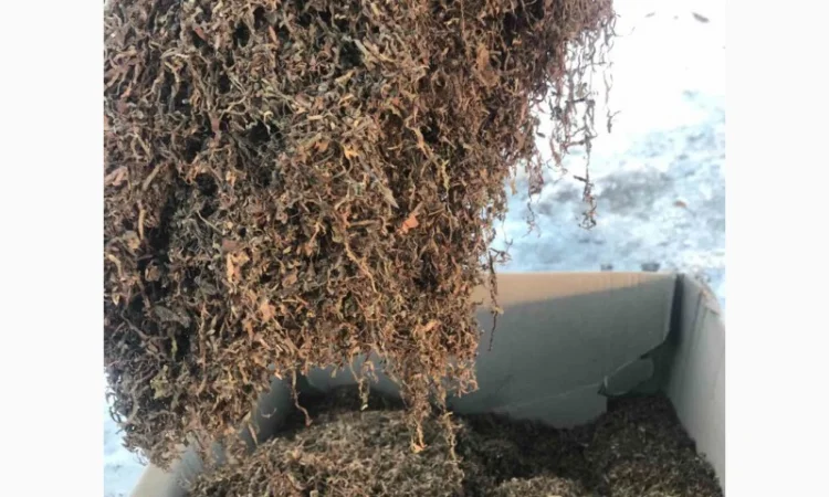 ТЮТЮН !!! Продається тютюн - фото № 2