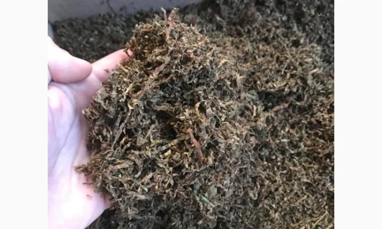 ТЮТЮН !!! Продається тютюн - фото № 4