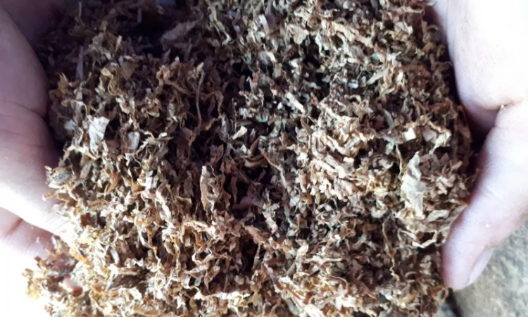 Табак в очень хорошем качестве - фото № 3