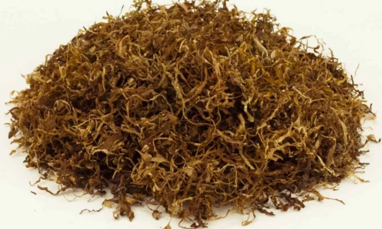 Табак в очень хорошем качестве - фото № 4