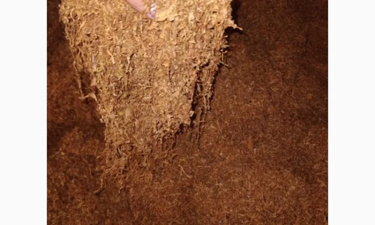 Заводской качественный фабричный табак Winston, Парламент, Вирджиния, Мелениум - фото № 10