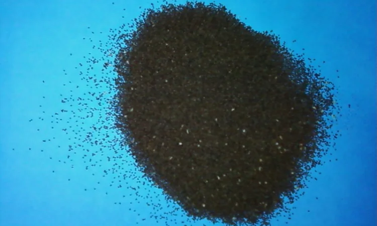 НАСІННЯ ТЮТЮНУ 11-ти поп сортів-Берлі38-46, Ксанті, ГаванаZ992, Махорка, Вірджинія, Герцегов - фото № 1