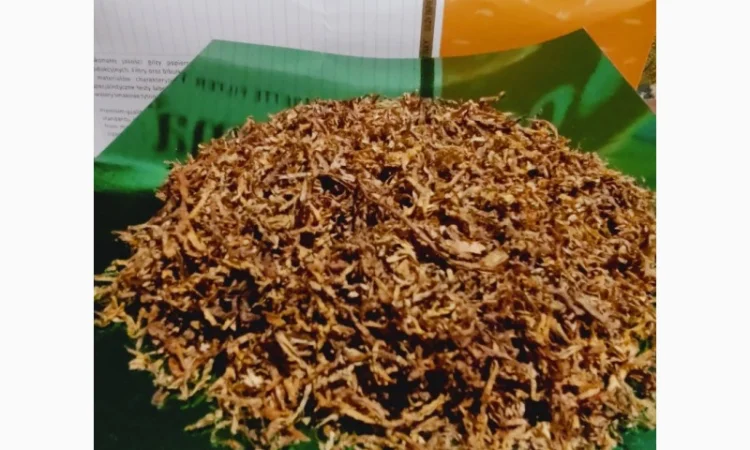 Продам якісний Німецький тютюн Вірджинія HYV 35 (гібридна) для сигарет 1 кг - фото № 2