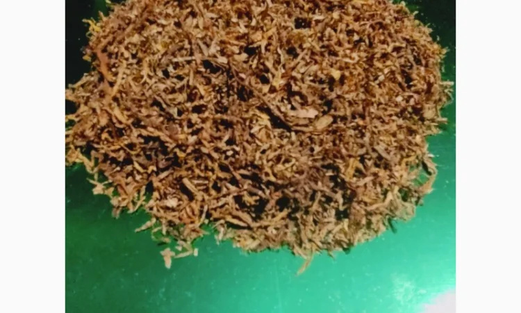 Продам якісний Німецький тютюн Вірджинія HYV 35 (гібридна) для сигарет 1 кг - фото № 3